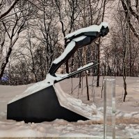 Прыгун с трамллина :: Александр Чеботарь