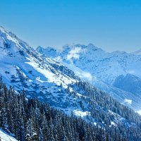 Зимний пейзвж :: Lucy Schneider 