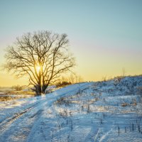 В тени раскидистой кроны :: Валерий VRN