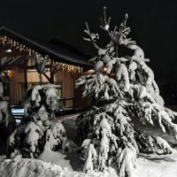 А за городом зима... :: Татьяна Тюменка А за городом зима... :: Татьяна Тюменка