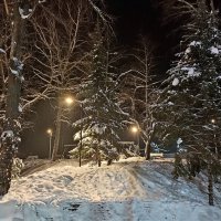 Зима за городом :: Татьяна Тюменка