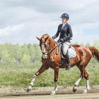 Выездка :: SanSan Выездка :: SanSan