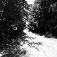 Фотография :: Денис Безногов