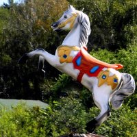 Символ 2026 года. :: nadyasilyuk Вознюк