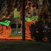 Прогулка по вечернему городу :: Игорь Сикорский