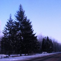 Красота :: Людмила Смородинская