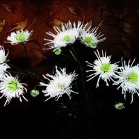 Красота дома :: Людмила Смородинская Красота дома :: Людмила Смородинская