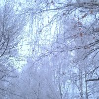 Зимним днем :: Елена Семигина Зимним днем :: Елена Семигина