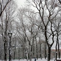 *** :: Валентина Береснева