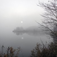 Туман. :: Александр. AVG100 ---