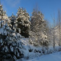 А за городом зима, зима, зима... :: Ольга 