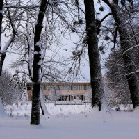 Парк Южный, Калининград :: Рита Симонова