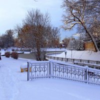 Дядя с собачкой :: Сергей Карачин
