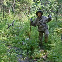 По болотинке. :: ВикТор Быстров