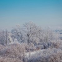 ЗИМНЯЯ СКАЗКА :: Сергей Зырянов