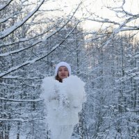 Снежные наряды :: Евгений Ермаков