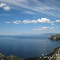 Природа Крыма :: Amazing Cosmea