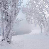 Зимнее безмолвие :: Марина Фомина.