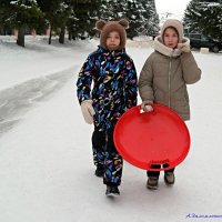 Кто куда, а мы на горку! :: Андрей Заломленков Кто куда, а мы на горку! :: Андрей Заломленков