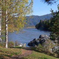 *** :: владимир 