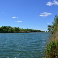 Местная река. :: Виктор 