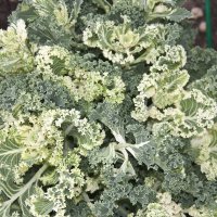 ... :: Виктор ... :: Виктор