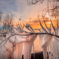 Лёд на ветви дерева :: Андрей Пристяжнюк