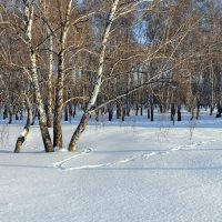 Рождественский день . :: Мила Бовкун