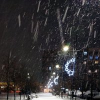 Снег кружится, летает, летает... :: Ирина 