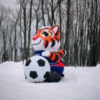 В Самаре в лесу водятся не только зайчата, но и тигрята :: Надежда 