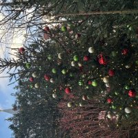 Просто елка :: Натали 