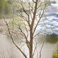 Still here? :: fogmeadowww m