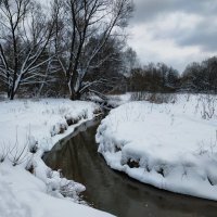Скромное обаяние московской зимы :: Андрей Лукьянов