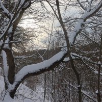 Зима :: Дмитрий И_