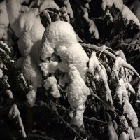 Зима за городом :: Татьяна Тюменка