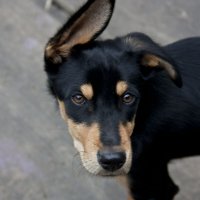 ..... :: Виктор 