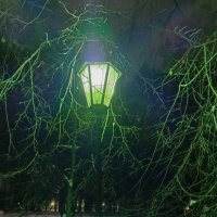 *** :: Любовь Сахарова