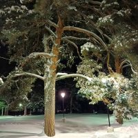 Январский вечер :: Любовь Сахарова