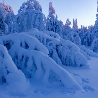 Синее утро :: Евгений Тарасов 