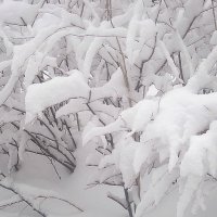 Замело :: Елена Семигина