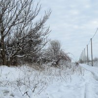 Зима :: Валерий Ткаченко Зима :: Валерий Ткаченко