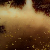 Осенью :: Nora Nowhere