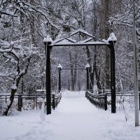 Парк Южный, Калининград :: Рита Симонова