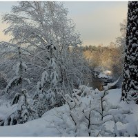 *** :: Aleksandr Gal