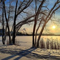 Январское солнце :: Мария Васильева