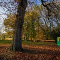 Парк с удобством... :: Николай Гирш