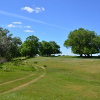 Донские зарисовки. :: Виктор 