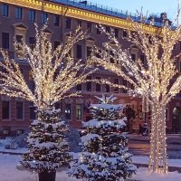 Новогодний Петербург . Зимний сад у Мариинского дворца. :: Наталья ***