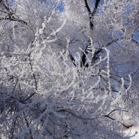 Зимнее :: Наталия Григорьева