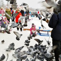 голуби дети :: Владимир 